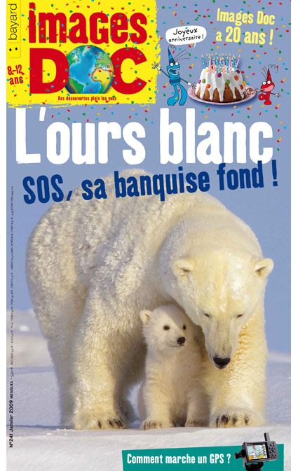 L’ours blanc, SOS, sa banquise fond !