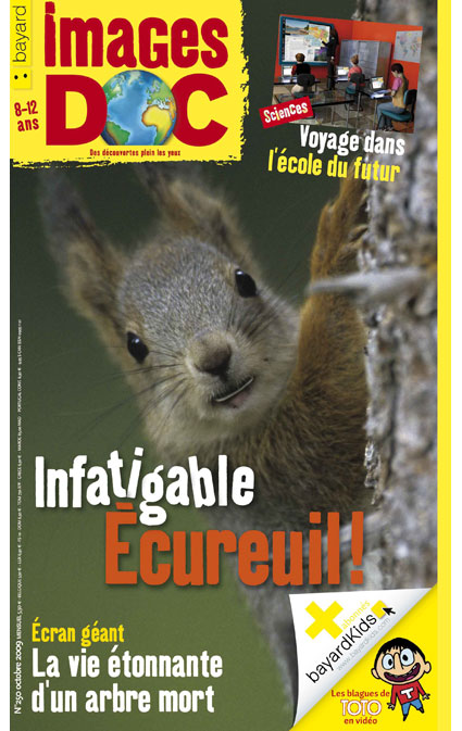 Infatigable Écureuil !