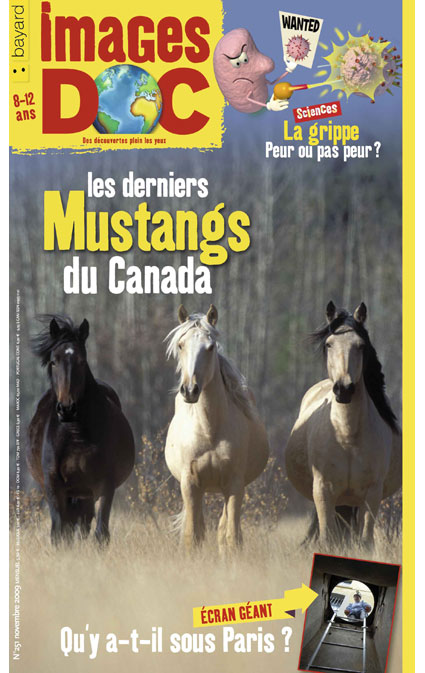 Les derniers Mustangs du Canada