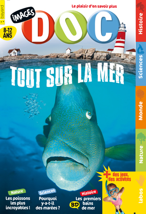 Tout sur la mer