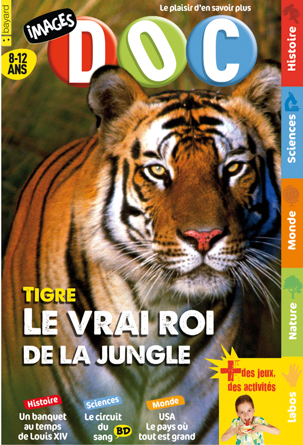 Tigre, le vrai roi de la jungle