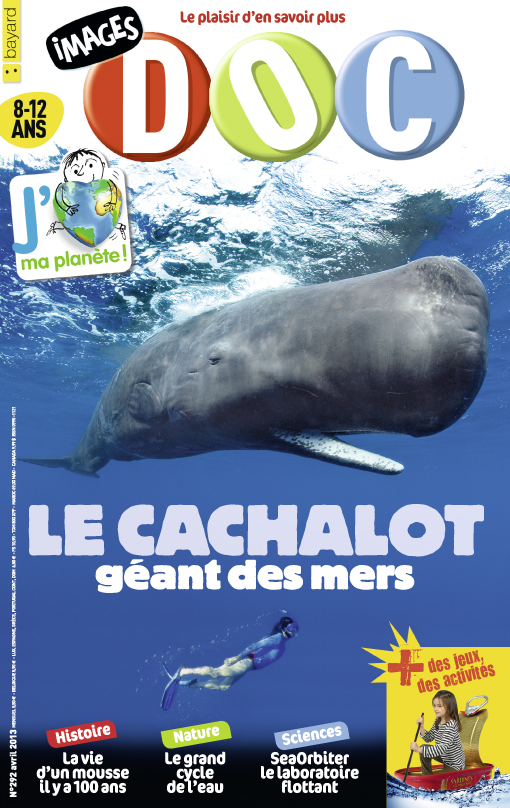 Le cachalot, géant des mers