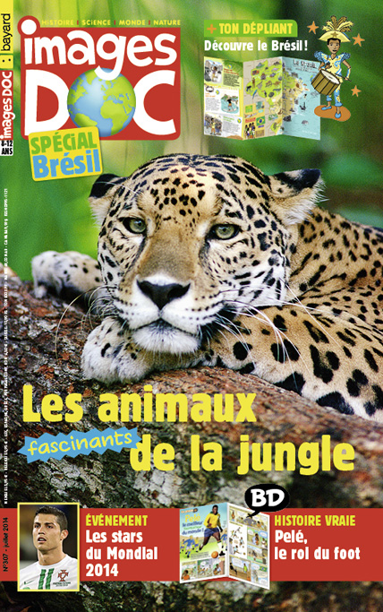 Les animaux fascinants de la jungle