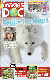 Seul avec les loups – Vincent Munier, photographe en Arctique