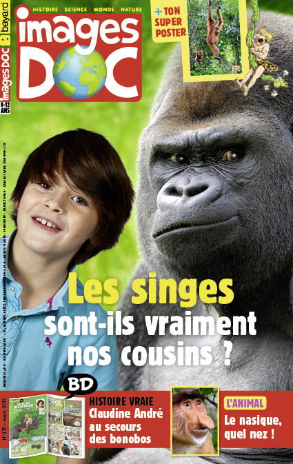 Les singes sont-ils vraiment nos cousins ?