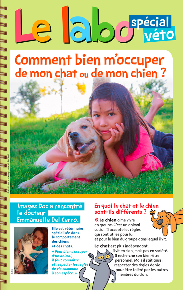 Comment Bien S Occuper De Son Chien Ou De Son Chat Actualites Images Doc Images Doc