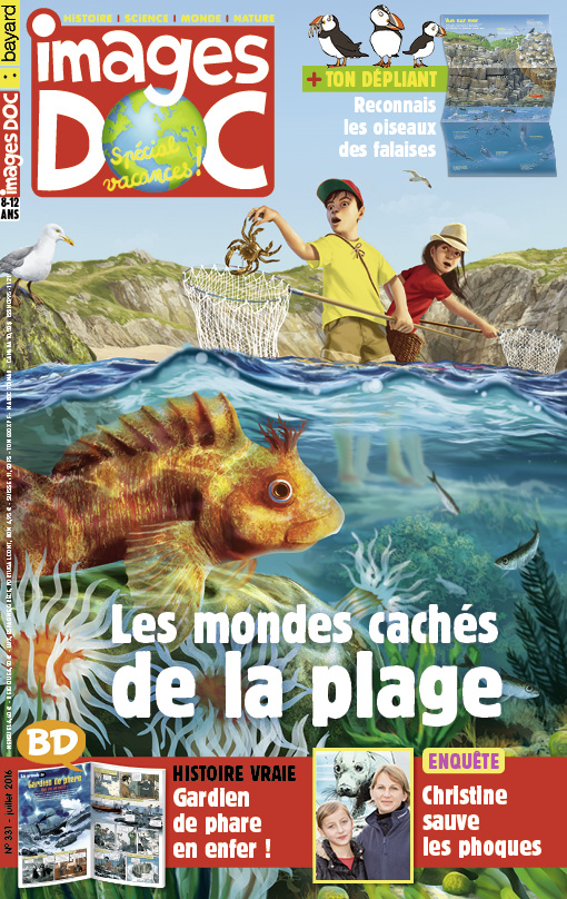 Les mondes cachés de la plage