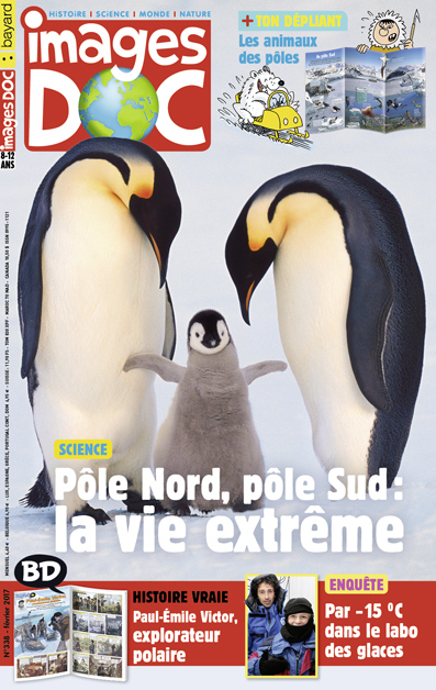 Pôle Nord, pôle Sud : la vie extrême