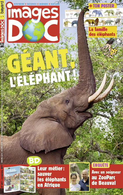 Géant, l’éléphant !