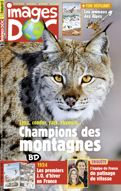 Champions des montagnes