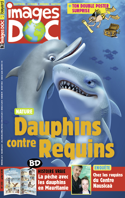 Dauphins contre Requins