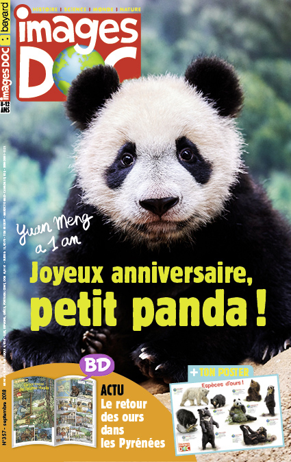 Joyeux anniversaire, petit panda !