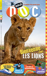 Bienvenue chez les lions