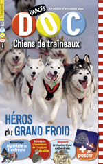 Chiens de traineaux, héros du grand froid