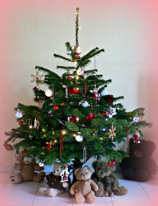 combien de jours un sapin coupe peut il rester frais cloe 9 ans images doc