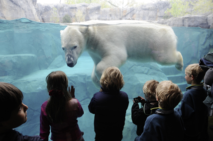 © North Carolina Zoo / USA