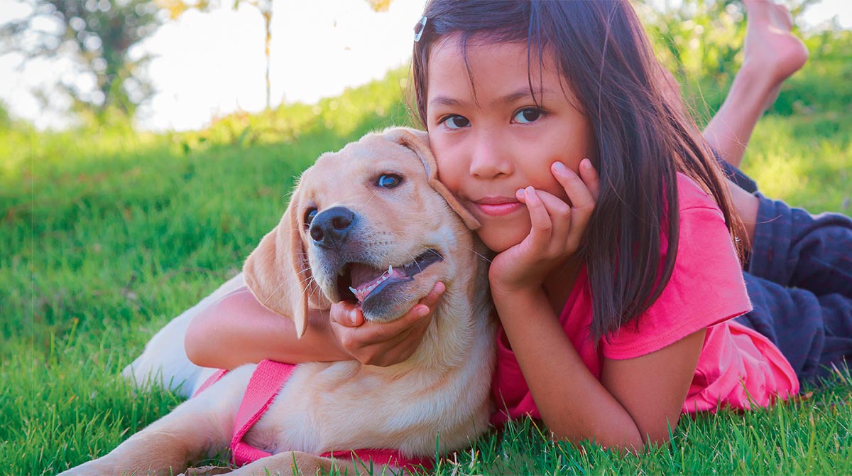 Comment bien s’occuper de son chien ou de son chat ?