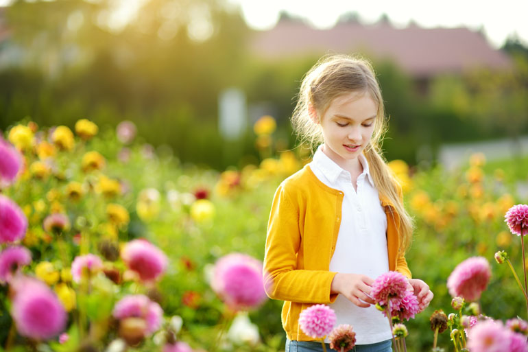 Pourquoi les fleurs ont-elles des couleurs ? Inès, 9 ans - Images Doc