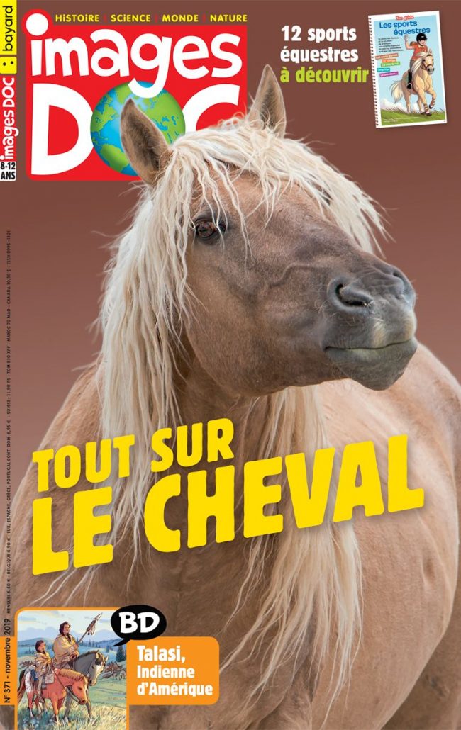 Tout sur le cheval