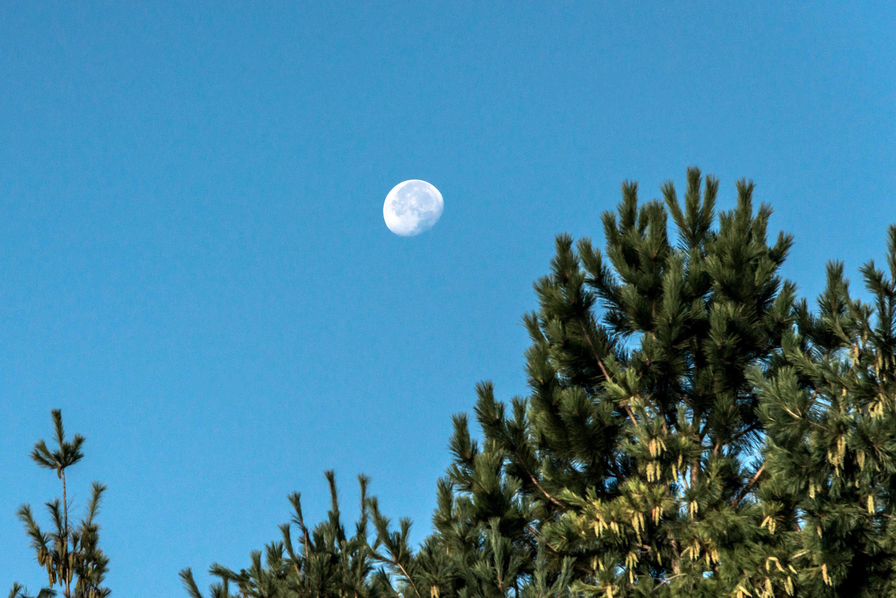 la lune et le soleil