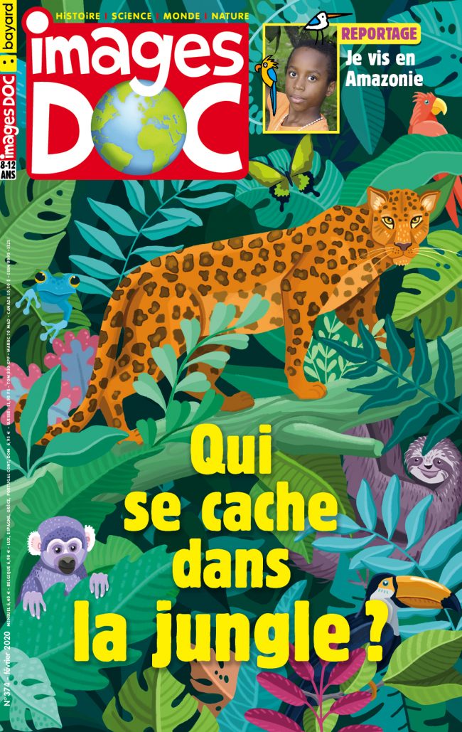 Qui se cache dans la jungle ?