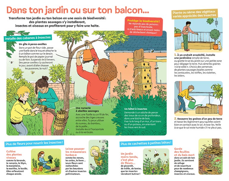 “Le labo, spécial biodiversité : Agis pour la nature”, Images Doc n°377, mai 2020. Textes : Nathalie Tordjman. Illustrations : Claire de Gastold.