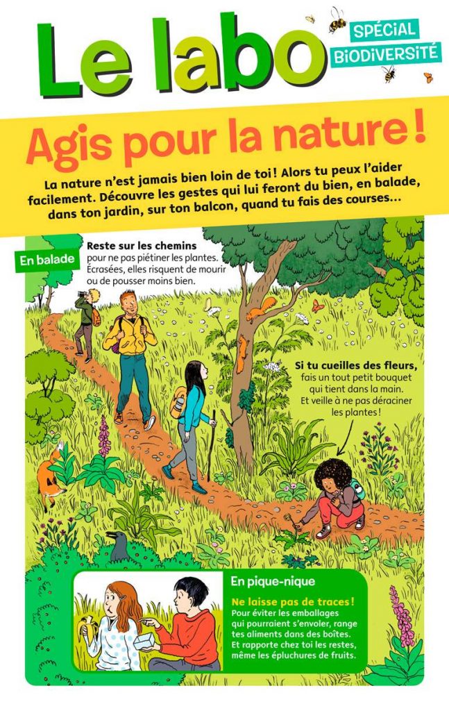 “Le labo, spécial biodiversité : Agis pour la nature”, Images Doc n°377, mai 2020. Textes : Nathalie Tordjman. Illustrations : Claire de Gastold.