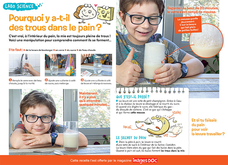 Labo science : faire du pain, c‘est facile ! Photos : Rebecca Josset, Erik Franck (photo du pain). Illustrations : Jérôme Sié.