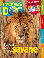 Couverture du magazine Images Doc n°403, juillet 2022 - La vie dans la savane