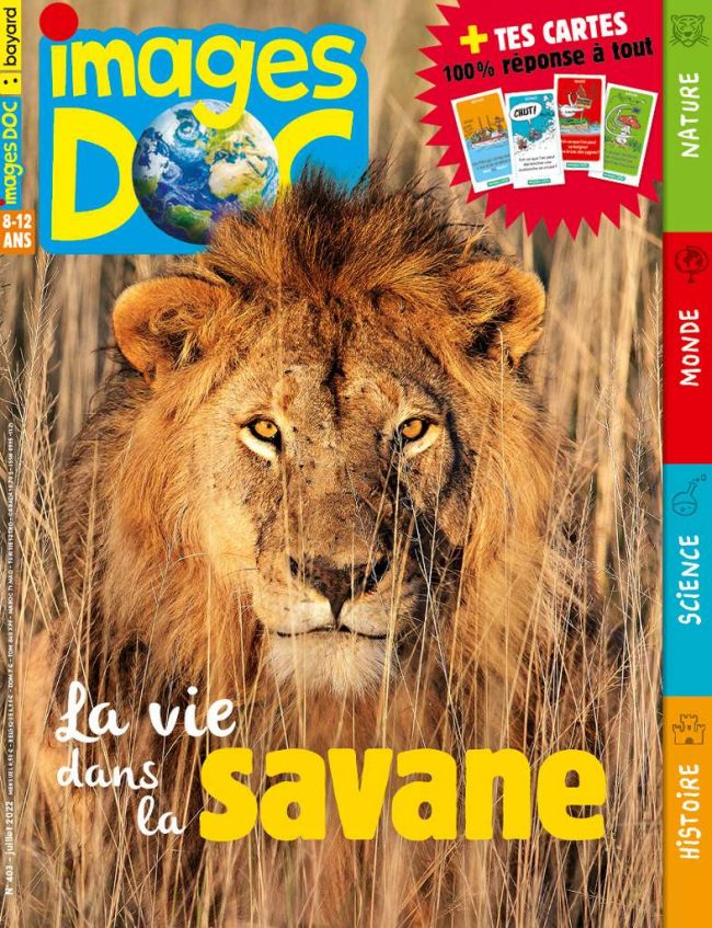 La vie dans la savane