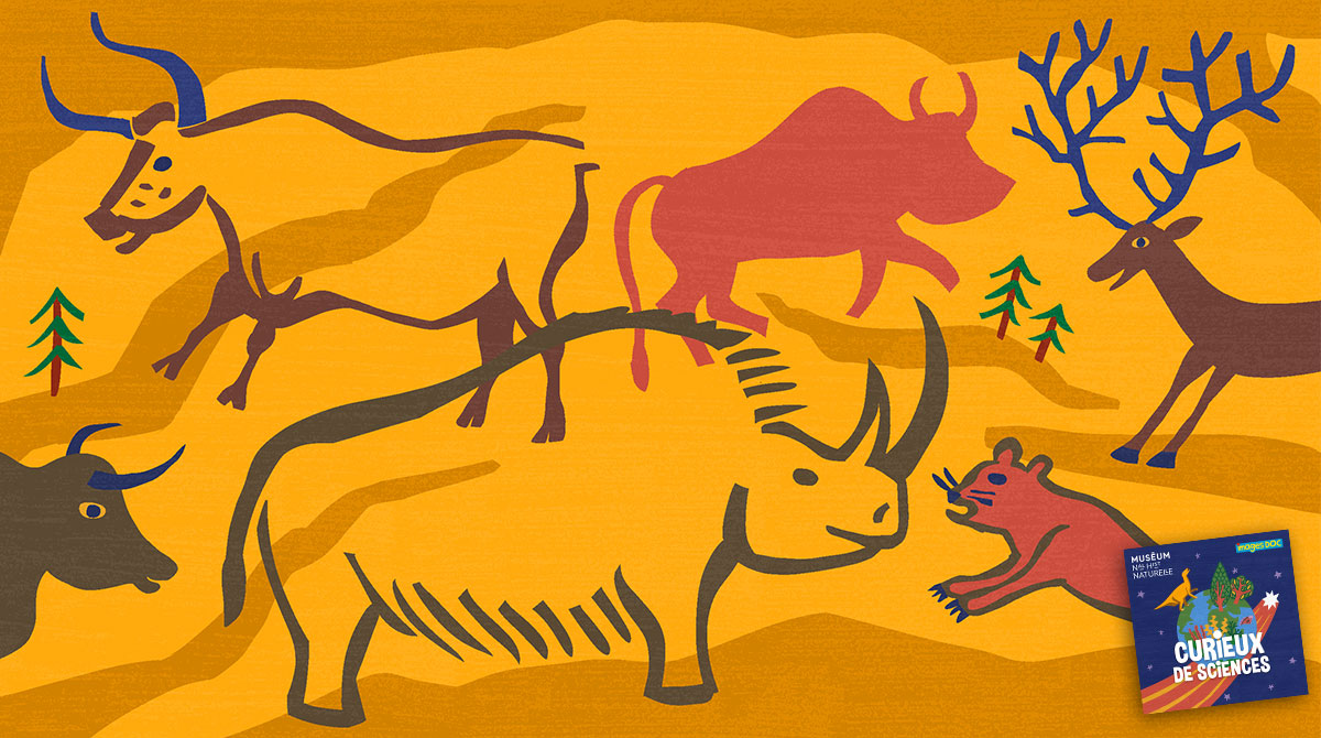 “Pourquoi les humains préhistoriques dessinaient des animaux ?” Podcast pour enfants “Curieux de sciences” Bayard Jeunesse - Muséum national d'Histoire naturelle