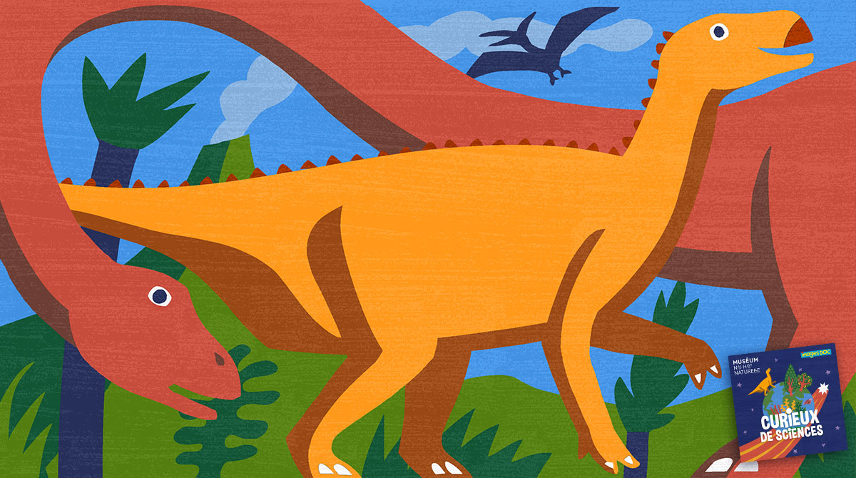 “Comment on sait à quoi ressemblaient les dinosaures ?” - Podcast pour enfants Curieux de sciences - Bayard Jeunesse - Muséum national d'Histoire naturelle.
