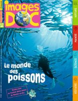 Couverture du magazine Images Doc n°407, novembre 2022 - Le monde des poissons