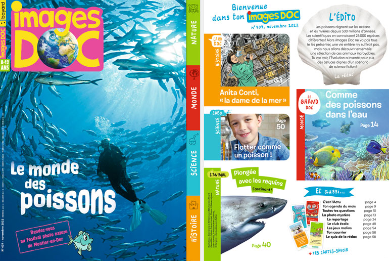 Sommaire du magazine Images Doc n°407, novembre 2022 - Le monde des poissons