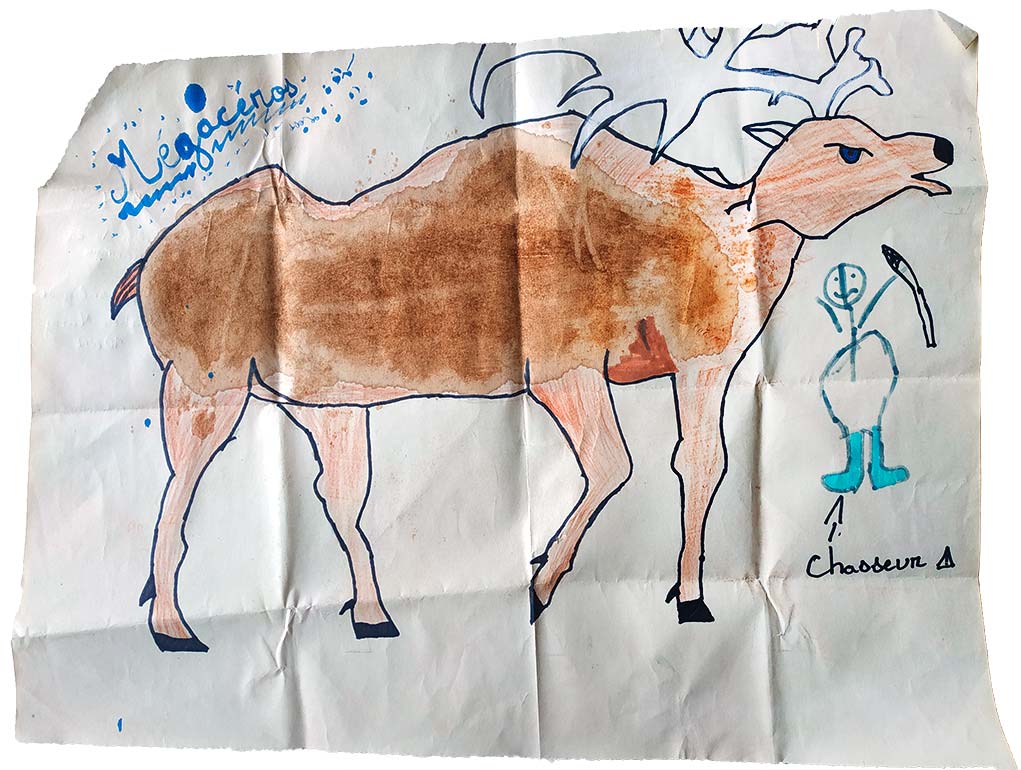 Concours dessins animal prehistorique