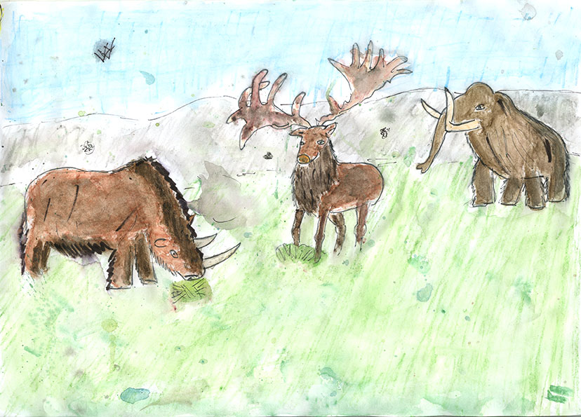 Concours dessins animal prehistorique