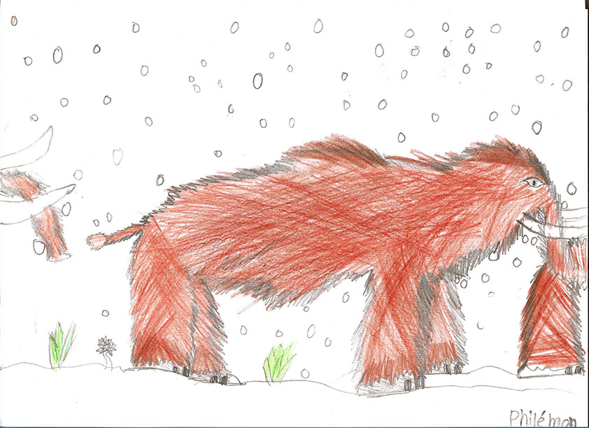 Concours dessins animal prehistorique