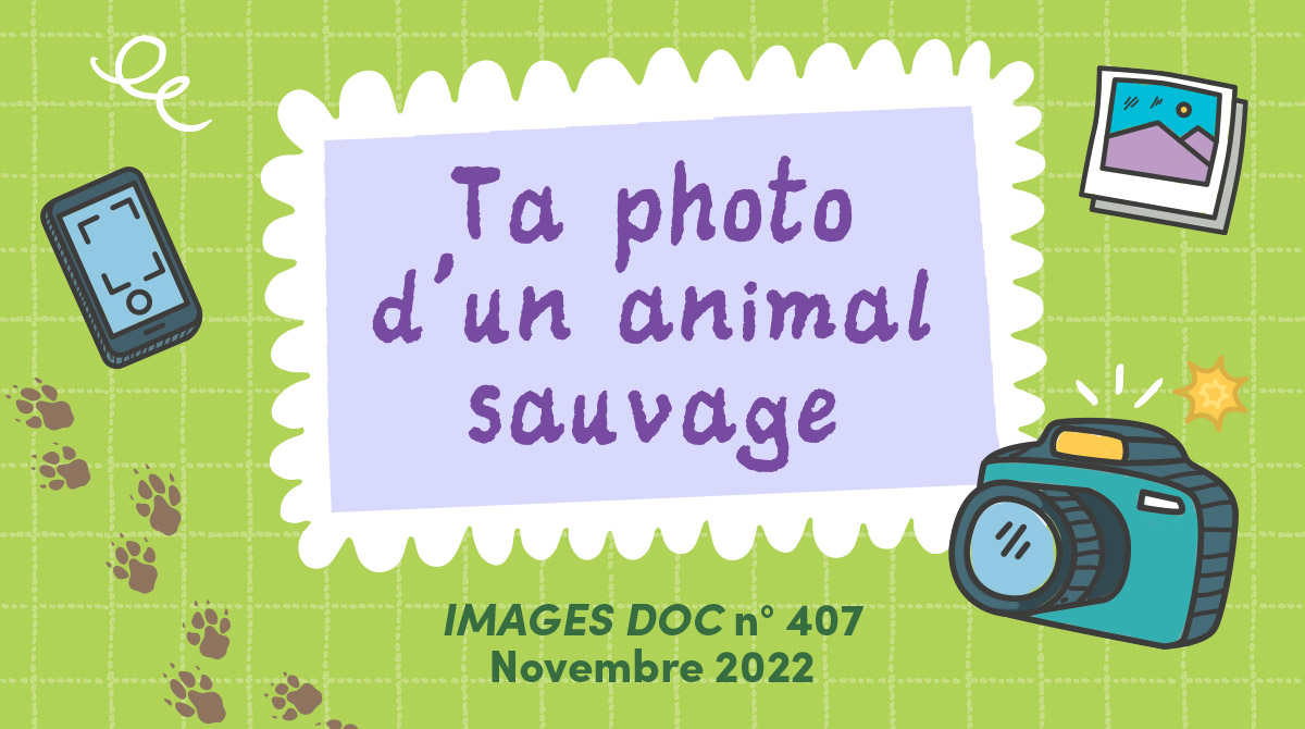 IMD - Concours photos - Animal sauvage