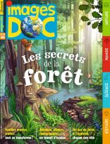 Couverture du magazine Images Doc n°411, mars 2023 - Les secrets de la forêt