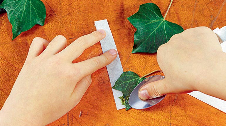 Photo : Rebecca Josset. Labo science : des couleurs cachées dans les feuilles !, Images Doc n°411, mars 2023.