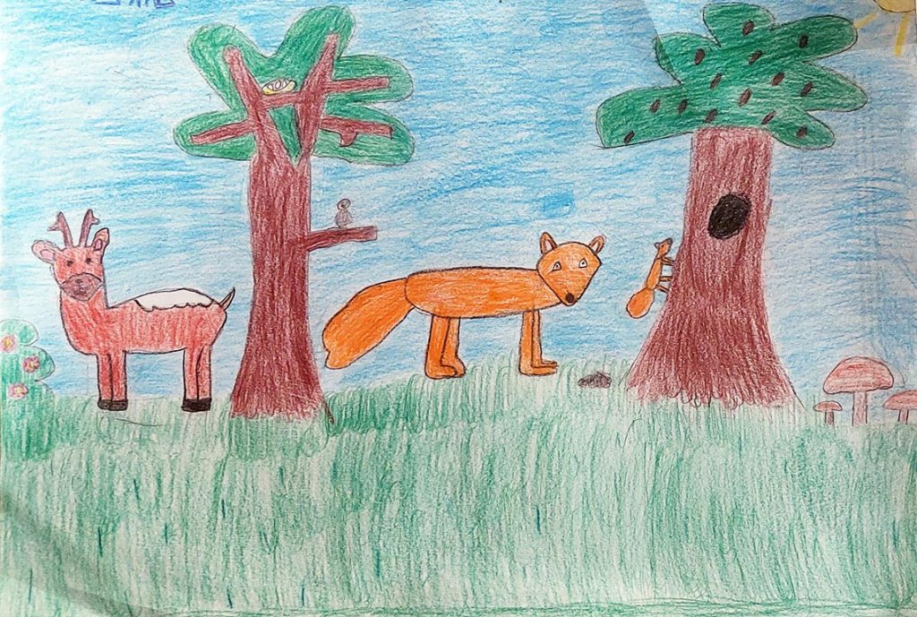 Concours de dessins - Animaux forêt