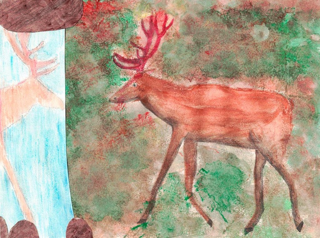 Concours de dessins - Animaux forêt