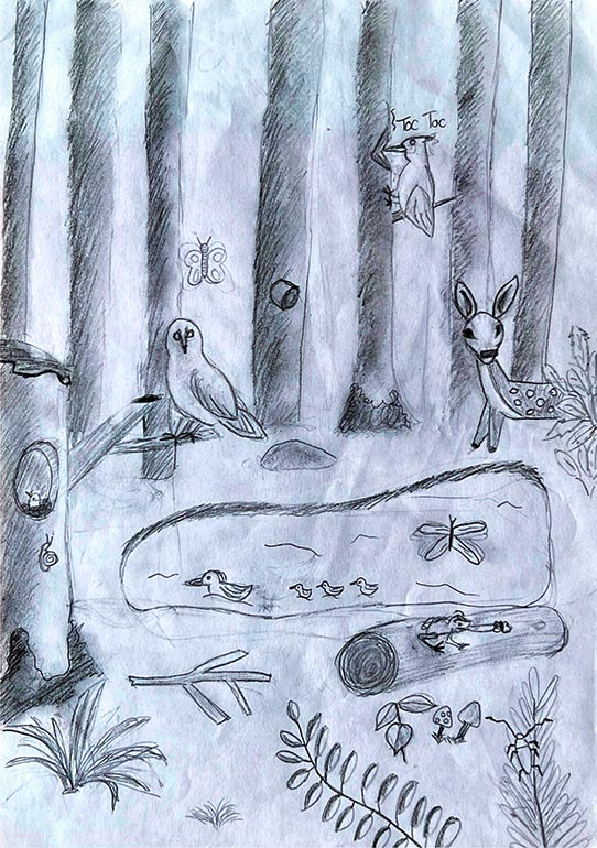 Concours de dessins - Animaux forêt