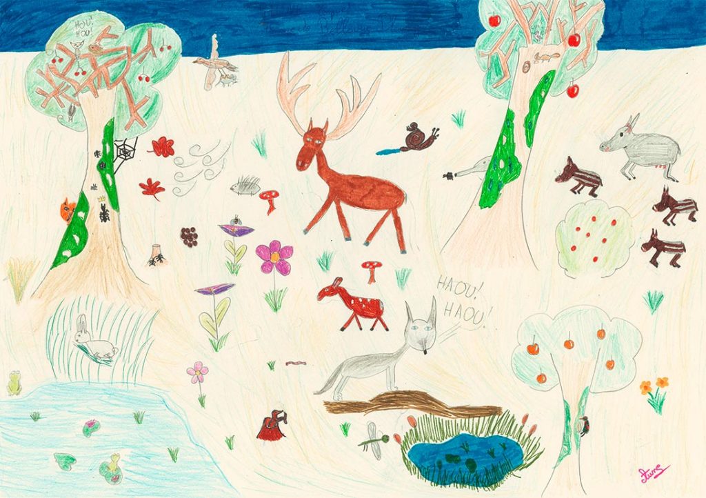 Concours de dessins - Animaux forêt