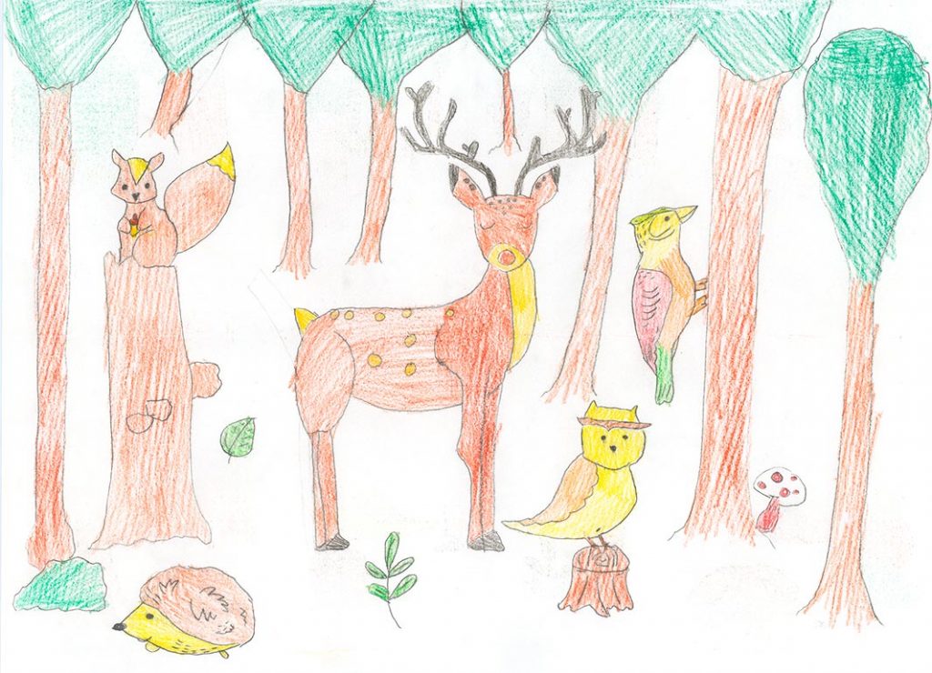 Concours de dessins - Animaux forêt