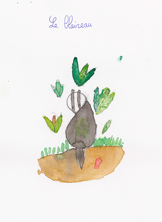 Concours de dessins - Animaux forêt