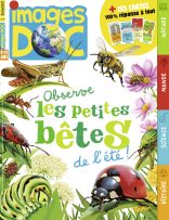 Couverture du magazine Images Doc n°415, juillet 2023 - Observe les petites bêtes de l'été !