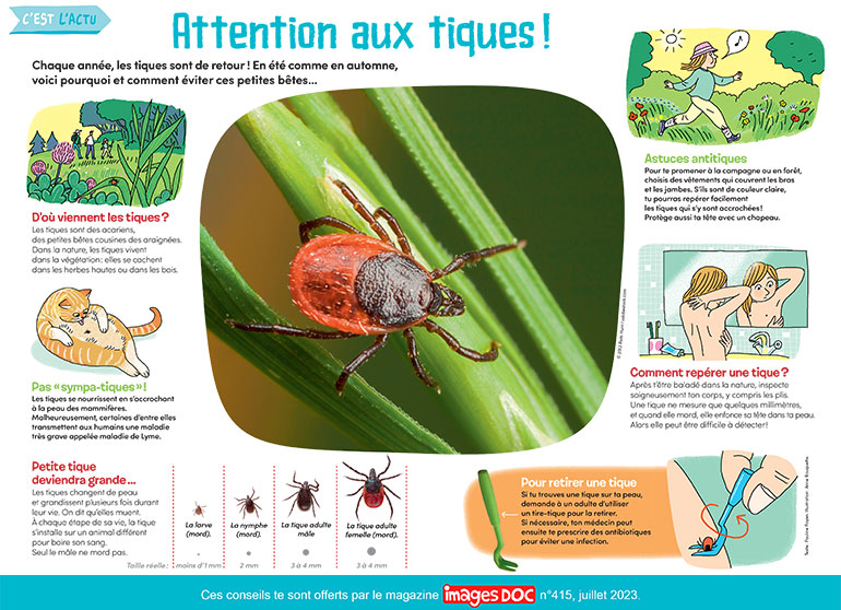 Attention aux tiques !, Images Doc n°415, juillet 2023. Illustration : Anne Rouquette.