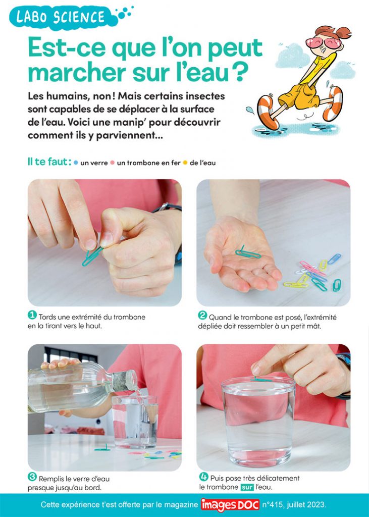 Labo science : est-ce qu’on peut marcher sur l’eau ?, Images Doc n°415, juillet 2023. Photos : Rebecca Josset. Illustrations : Jérôme Sié.