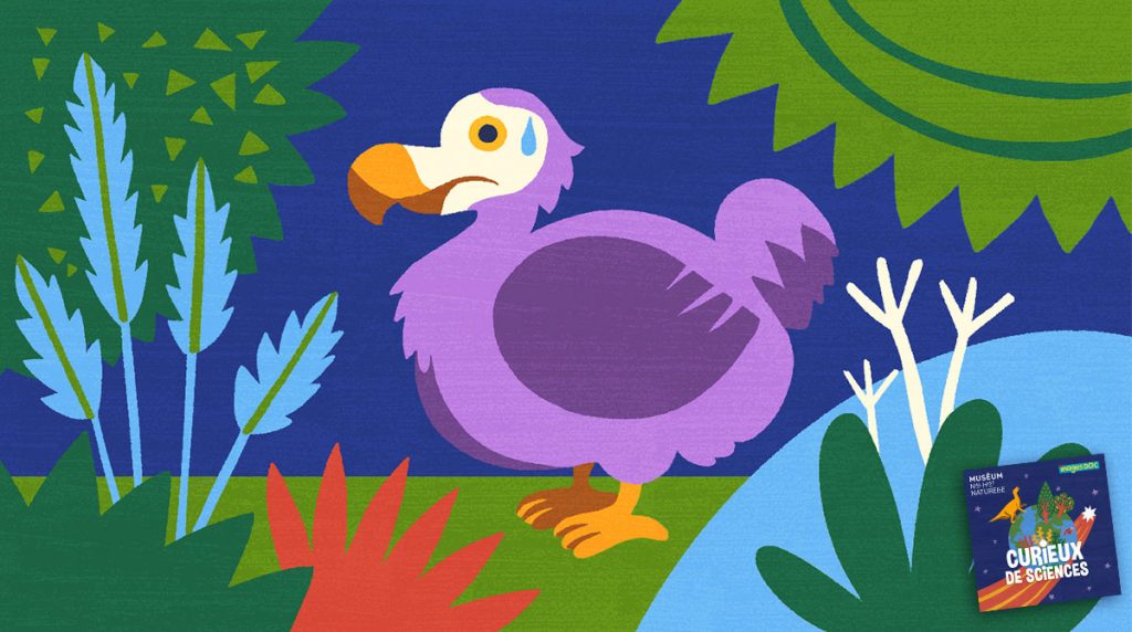 Podcast pour les enfants “Curieux de sciences” : Pourquoi le dodo a-t-il disparu ? avec Christine Lefèvre.